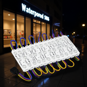 Module LED RGB POMELO TREE 5050 SMD IP65 DC 12V avec télécommande pour éclairage de magasin, enseigne de vitrine - Product Image 2