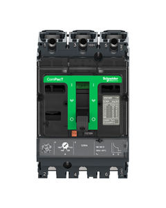 ชุดอุปกรณ์ป้องกันกระแสเกิน Schneider ซีรีส์ ComPacT 3P 4P NSX400F 36kA พร้อมไมโครลอจิก 2.3 ทริปยูนิต 250A ทองแดง 400V-690V รุ่น C40F32D250 C40F32D400 C40F42D250 - Product Image 2