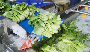 Tùy Chỉnh Tự Động Salad Rau Chế Biến Dây Chuyền Sản Xuất Rau Xà lách Rau Rửa Cắt Khô Máy - Product Image 2