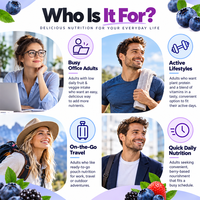 Complément alimentaire végétalien naturel OEM/ODM Super Berry Plant Protein à base de sureau, zinc, B12, C, D pour le soutien immunitaire et antioxydant, nutrition quotidienne