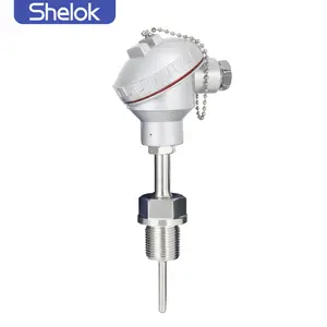 Shelok nhiệt độ cao công nghiệp khí cặp nhiệt điện k-loại 1200C PT100 pt1000 PT20 cặp nhiệt điện cảm biến nhiệt độ