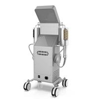RL200 Appareils de massage corporel combinant les effets curatifs des massages amincissants et de drainage lymphatique