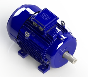 Motor Asíncrono Trifásico Estándar WEG W20, RPM 315kW, 50/60Hz, 380V CA, Eficiencia IE3, Protección IP55, Refrigeración TEFC, Fundición W20 C - Product Image 3