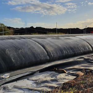 Высококачественная Нетканая геотекстильная промышленная трубка Geobag, полипропиленовый песок, гео-мешок для песка от производителя