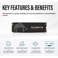 Nouveau stock : SSD interne M.2 NVMe PCIe Gen3 256 Go, Flash NAND 3D TLC, garantie 3 ans, alimentation externe, haute vitesse stable