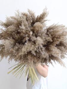 Flores Secas de Pampas Estilo Boho, Ecológicas, Decoración para Halloween, Año Nuevo, Bodas, Navidad, Día de la Madre, Día de San Valentín - Product Image 4