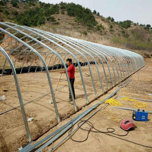 رخيصة الثمن الدفيئة نفق مستعملة للبيع - Product Image 5