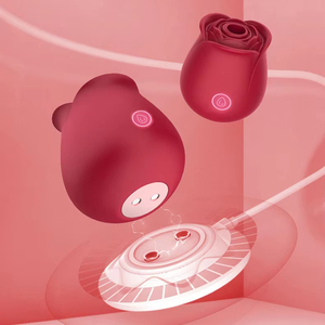 Vibrateur Rose Viral TikTok en Gros, Stimulateur Clitoridien et Mamelons à Succion en Silicone, Jouet Sexuel Féminin pour Masturbation Adulte - Product Image 5