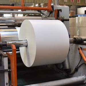 Envoltura de alimentos al por mayor, papel resistente a la grasa para caja de hamburguesas y vasos de papel, materia prima, rollo <span class=keywords><strong>jumbo</strong></span>, rollo de papel recubierto de PE - Product Image 3