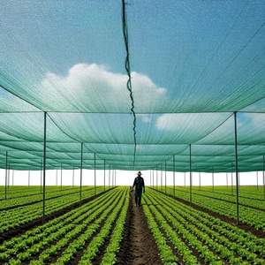 Agro Shade <b>Net</b> Grass <b>Green</b> Knitted Plastic <b>Nets</b> with Cutting Service for Gardens and Farms - Product Image 4