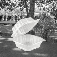 Boîte alimentaire carrée jetable en plastique avec couvercle à charnière transparent, style classique, pour le camping