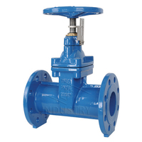 Harga bagus besi tidak meningkat batang Flange Soft Seal Gate Valve DN150 Flange batang tersembunyi kursi elastis Manual air umum