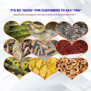 Máy sấy trái cây hữu cơ, máy sấy củ hành, khoai lang, máy chế biến, máy sấy mít, sung, xoài khô, mơ - Product Image 5