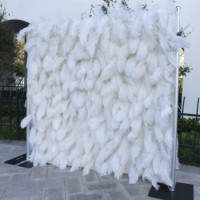 Décor mural floral personnalisé en draperie longue, blanc crème, avec fleurs 3D en plumes et orchidées papillon, marque Linktrip