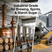Glucoamylase de qualité supérieure pour la dégradation des amidons (Poudre 10 milliards UFC/g Certifiée ISO) – Optimise l'efficacité de la fermentation pour l'alcool
