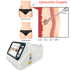 Lifting Endoláser Sin Cirugía, Resultados Naturales, Reafirma, Define, Reduce la Grasa Localizada, Estimula el Colágeno - Product Image 2