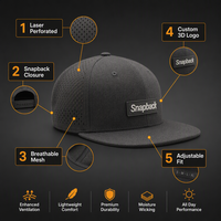 Gorra de Béisbol Personalizada con Parche de PVC, Visera Plana, Cierre a Presión, Perforada con Láser, Transpirable, Estructurada de 6 Paneles, Venta al Por Mayor OEM