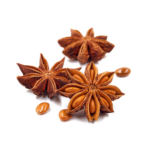 Anís estrellado indio premium 100% puro, especias enteras, distribución global al por mayor de Gujarat, suministro internacional de ingredientes alimenticios - Product Image 1