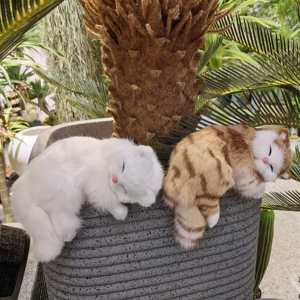Estatua de Gato de Piel Realista Hecha a Mano con Detalles Precisos, Modelo de Gatito Durmiendo para Decoración de Estante o Escritorio, Adorno Artesanal - Product Image 6