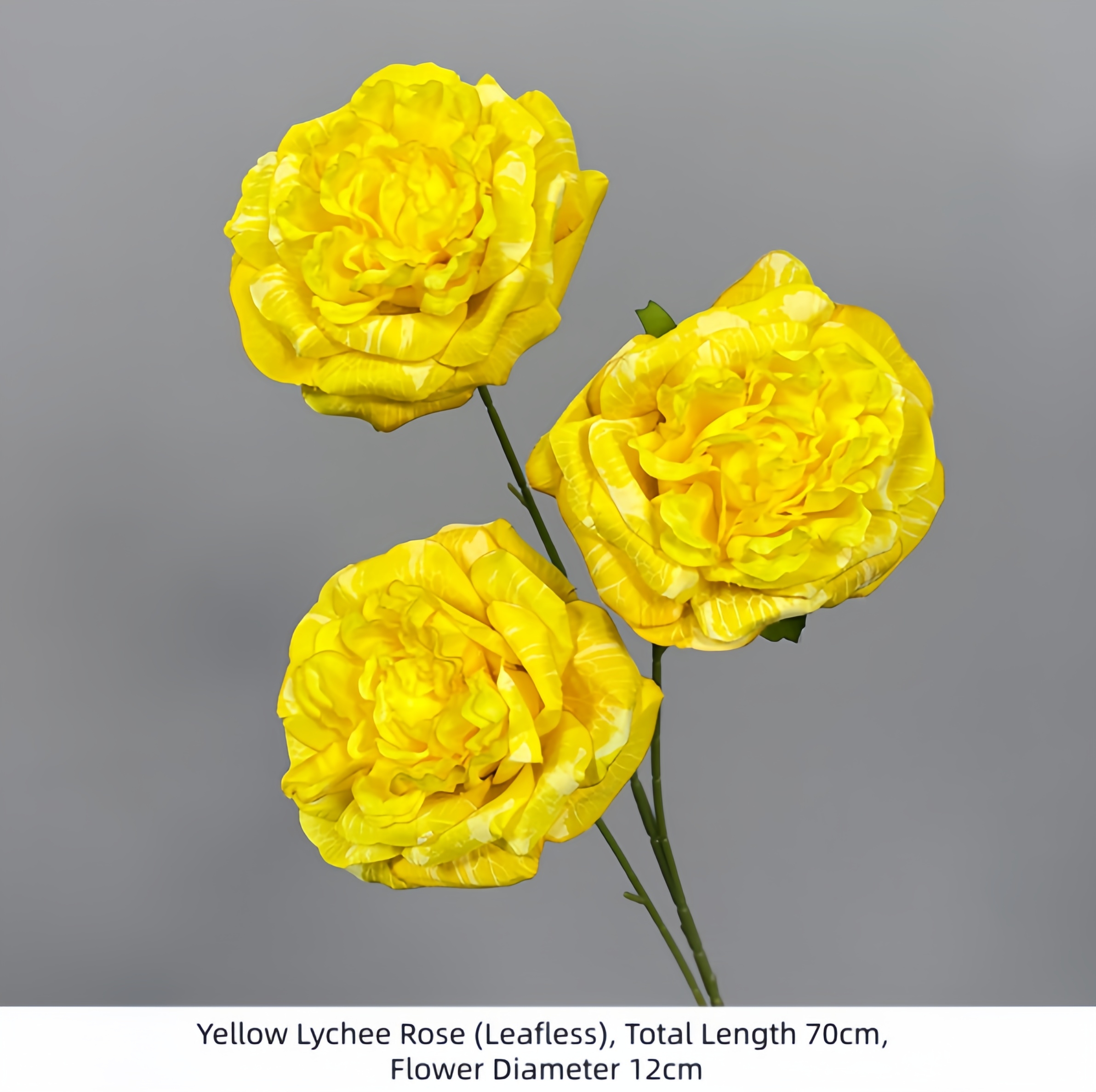 Yellow Lychee Rose