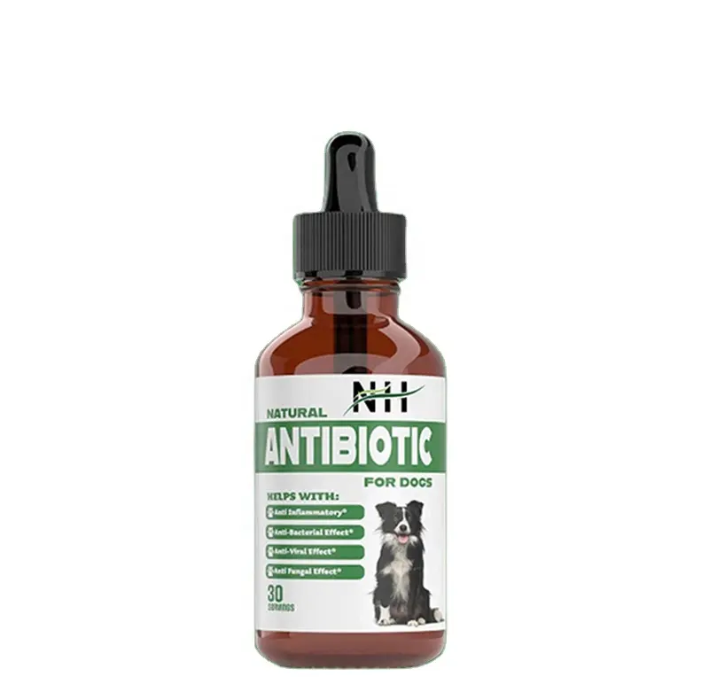 Suppléments pour animaux de compagnie haut de gamme Antibiotiques naturels pour chiens Soins de santé et suppléments pour animaux de compagnie Gouttes