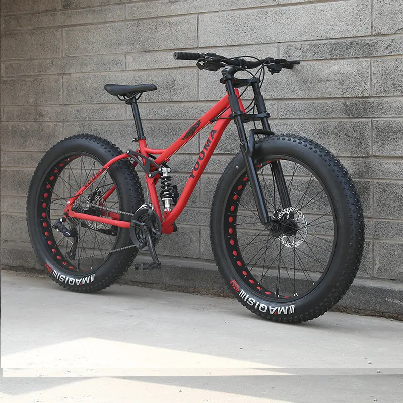 Factory Price 26/29 Inch 21 Speed snow bike Full suspension Fat Tyre bicycle Other Mountain Road Dirty Bike