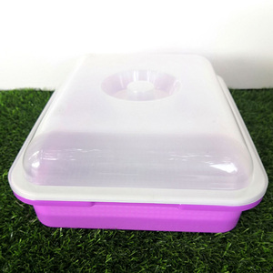 Plateau de germination de haricots ménage pépinière microgreen <span class=keywords><strong>bassin</strong></span> de semis hydroponique plateau de plantation de semis de blé plateau de semis de germination - Product Image 4