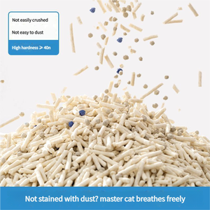 2025 nueva arena de bentonita 10L Mineral mejorado 99 sin polvo envío rápido 30 días de devolución - Product Image 3