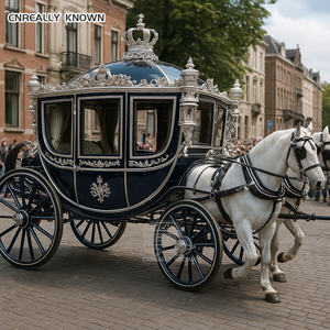 Chariot de mariage Royal Cendrillon personnalisé avec climatisation et éclairage LED – Grande Vente - Product Image 6