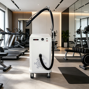 Standing 2in1 ABS Skin <b>Cooler</b> <b>Mini</b> Medical Cooling System Cold Air Water Cooling Technology for Pain Relief Beauty Salon Use - Product Image 1
