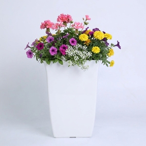 Wholesale Modern Tall <b>Square</b> White Plastic Plant <b>Pots</b> for Indoor Office Decor Verified Manufacturer Plastic Vietnam - Product Image 2