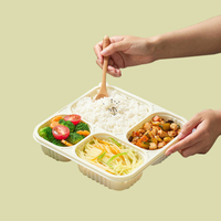 Barquettes et assiettes jetables en amidon de maïs de qualité alimentaire avec couvercle - Contenants alimentaires biodégradables respectueux de l'environnement
