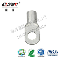 SC(LY) avec trou connexion électrique automatique cosse de câble de borne en cuivre cosse électrique en acier inoxydable