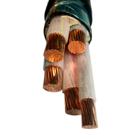 Fabrik 0,6/1kV - XLPE-Isolierung PVC 10mm 16mm 25mm 35mm 50mm 70mm 95mm Niederspannungs-Elektrokabel für Industrieanwendungen