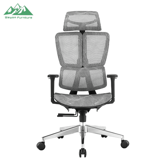 Factory-designed Ergonomic Executive Office Chair Full Mesh Backrest Lumbar Support Human Engineering Steel Home Office