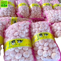 Ail Blanc Chinois de 5 cm à Bon Prix, Vente en Gros, Petites Emballages 3P/5P, Exportation, Ail Blanc Pur en Promotion avec Certification GLOBAL GAP