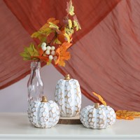Figurines de hérissons en résine pour la récolte d'automne, ornements vintage de citrouilles blanches, décorations de table d'automne pour Thanksgiving, décoration intérieure