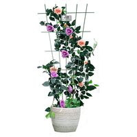 Support de plantes grimpantes pour jardin, piquets de tomates, treillis en acier revêtu de PVC