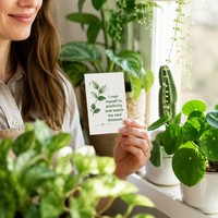 Impression personnalisée de cartes d'affirmation pour propriétaires de plantes, ensemble de 30 cartes botaniques avec boîte, OEM, vente en gros, impression en vrac, usine