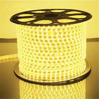 Guirlandes lumineuses LED intelligentes haute tension pour extérieur, double rangée, triple rangée, étanches 12 mm IP65, tricolores