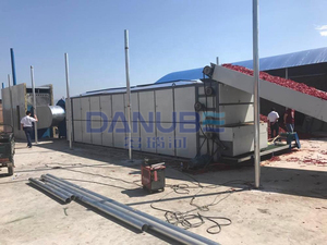 20 Tons High Capacity Frozen Chili Drying Machine Mesh Belt Dryer Hot Red Pepper Chili Cayenne Pepper Dryer Manufacturer - Product Image 4