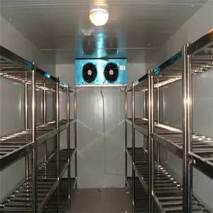 Bitzer Compressor Freezing Room Mobile Container Cold Storage for Fish Vegetable Fruit Ice Cream Walk-in Gear as Core Component
