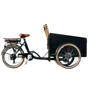 electric cargo bike cargo tricycle with rain cover