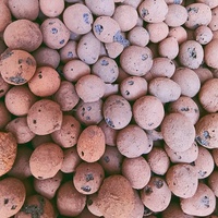 Leca Galets LECA Balls Argile expansée pour plantes de jardin d'intérieur Minéraux et produits non métalliques