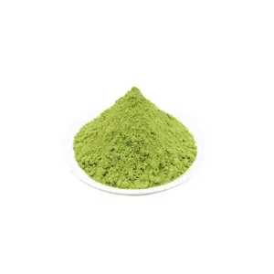 Soluble Instant Green Tea Extract Powder