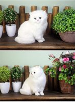 Figurine de chat en peluche réaliste, modèle de chaton en peluche, animaux en peluche, chats, fourrure synthétique, chat persan blanc