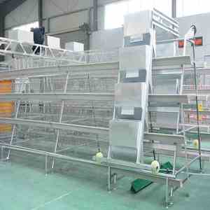 I prodotti più venduti caldaie a gabbia per batterie galline ovaiole con sistema colonia arricchita gabbia di pollo per pollame 96,120,128,160 lo strato di uccelli - Product Image 1