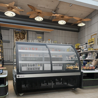 Vitrine Réfrigérée Transparente Incurvée 1500L pour Gâteaux, Pâtisseries et Boulangerie – Congélateur Vertical de Présentation
