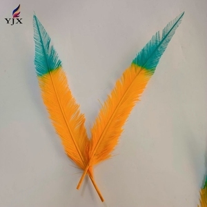Venta al por mayor de plumas de avestruz coloridas teñidas de plumas de avestruz <span class=keywords><strong>Nandu</strong></span> para vacaciones de fiesta - Product Image 5