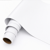 Rouleau d'autocollants en vinyle à prix compétitif rouleau de vinyle blanc écologique vinyle imprimable